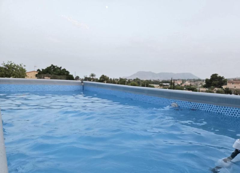 Chalet Privado en Alicante Piscina y Barbacoa - image 19