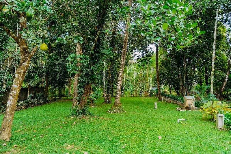 Anandham - A Lush Garden Retreat - image 29