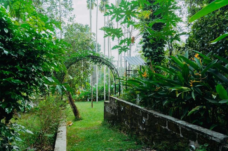 Anandham - A Lush Garden Retreat - image 37