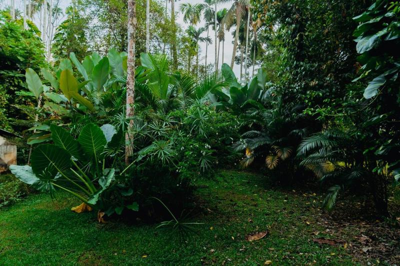 Anandham - A Lush Garden Retreat - image 20