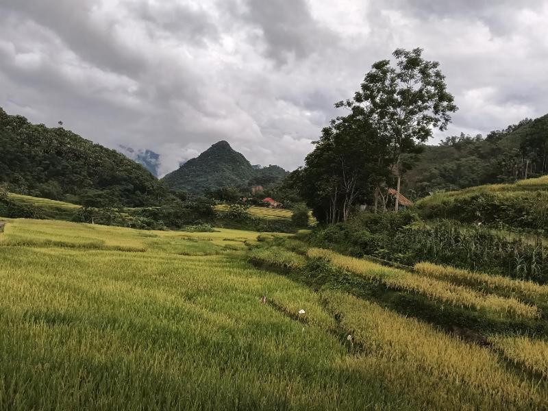 Homestay mây phía đồi - image 40