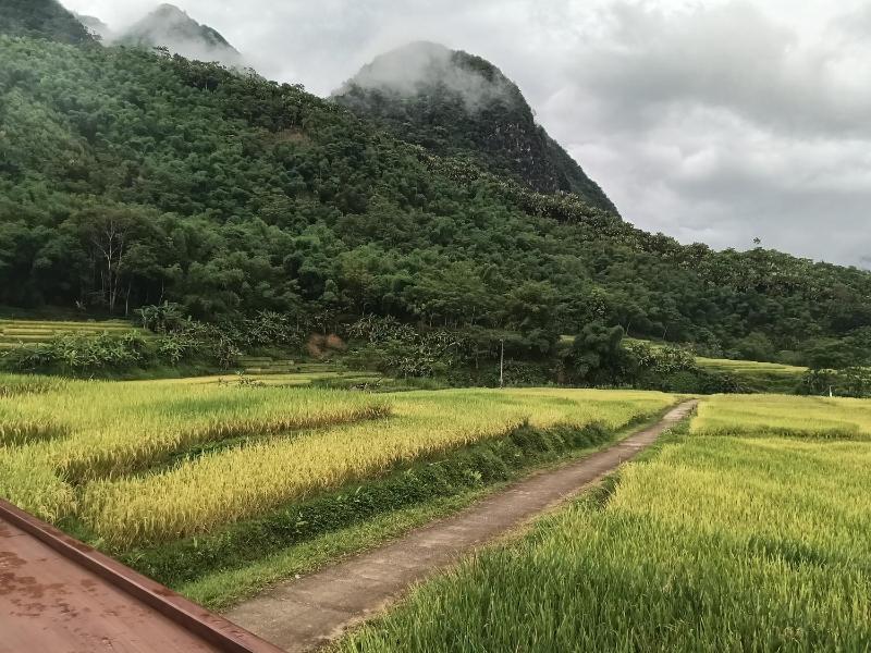 Homestay mây phía đồi - image 12