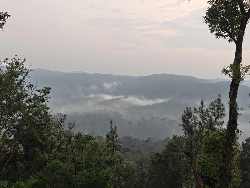 Seegodu Premium Coffee Estate Stay - image 12