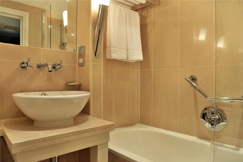 Deluxe Single Room image 4