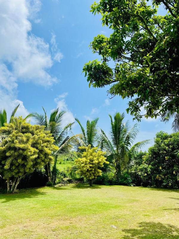 Mango Villa Bentota - image 23