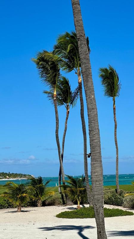 5BR Luxury Oasis Pool Golf & Lake Ocean acces - image 45