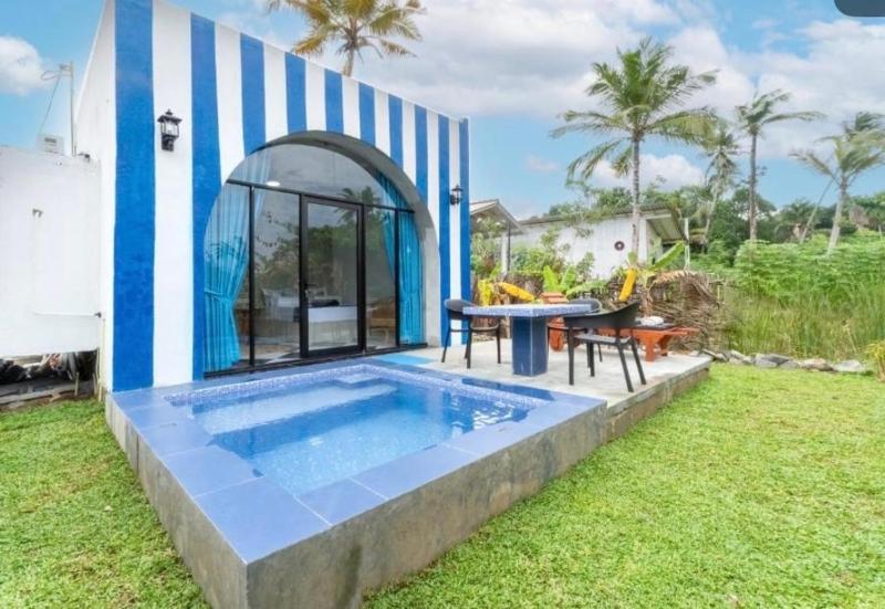 The black monkey villa - Private pool - image 43