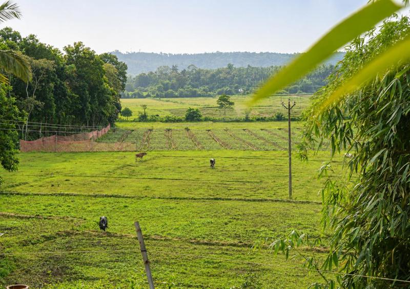Enteveedu Homestay - image 21