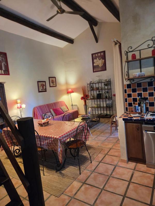 Appartement spacieux à Arles avec piscine et jardin partagé - image 23