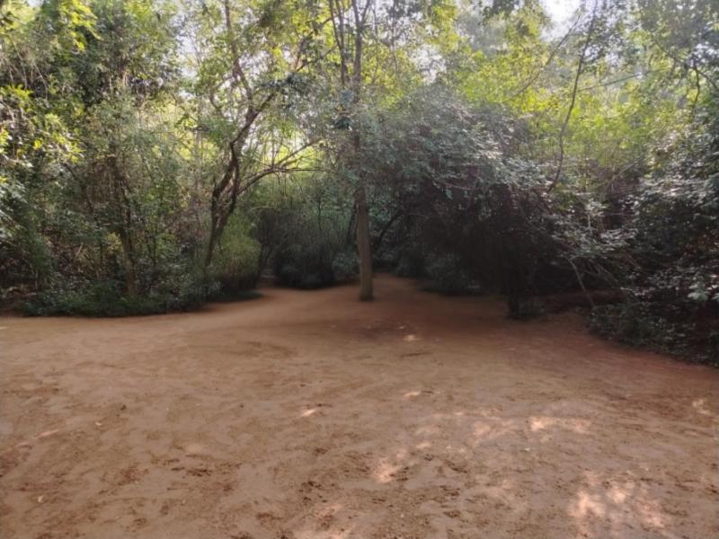Clay Hut by Ever Green Eco Resort - image 19