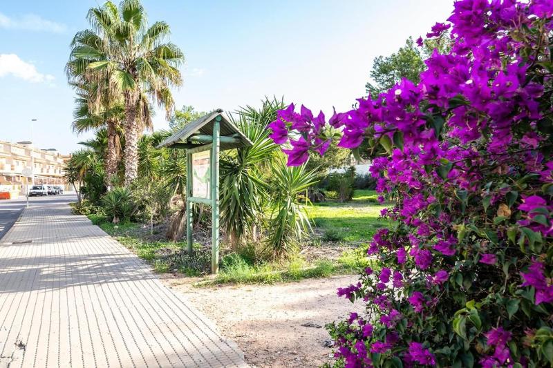 Villa with heated pool in La Zenia - image 33