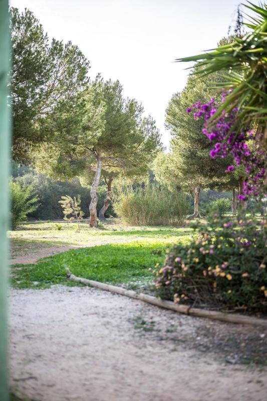 Villa with heated pool in La Zenia - image 30