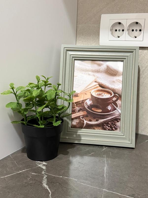 Urban Oasis - image 15