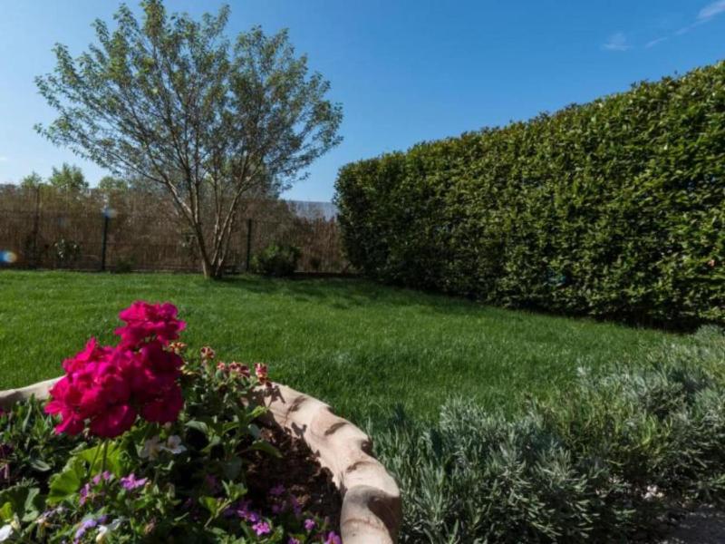 Comfort Villa Roza in Umag - 5 Bedroom With Pool - image 24