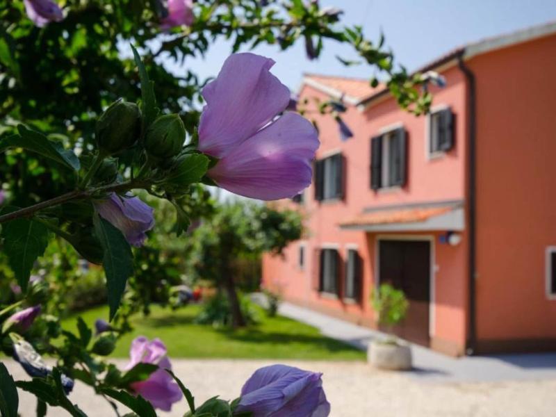 Comfort Villa Roza in Umag - 5 Bedroom With Pool - image 17