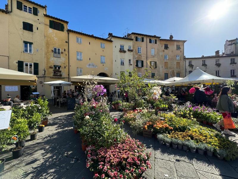 A Bright and Cozy Apartment with Stunning Views in the Heart of Lucca - image 14