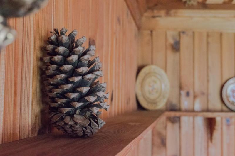 One-Bedroom Suite image 4