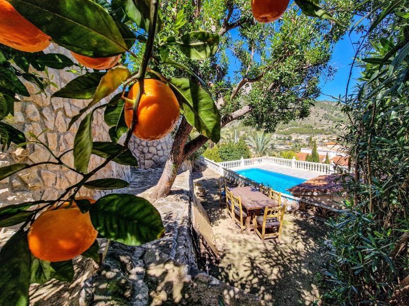 Bona Vista - image 12
