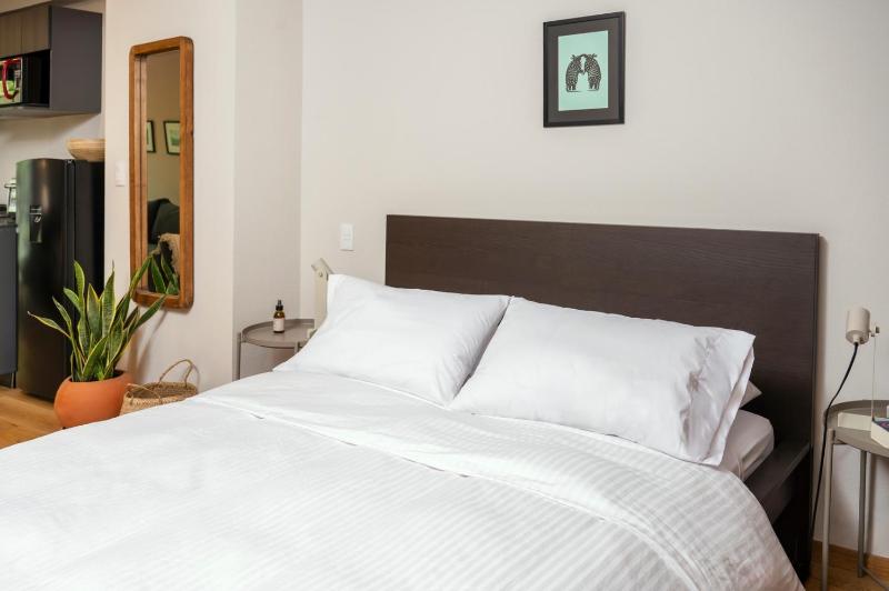 Chic Loft in Roma Norte – Near Condesa - image 9