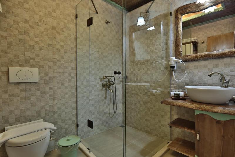 Twin Room with Pool View image 4