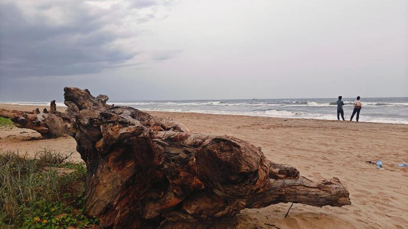Driftwood Beach Resort - image 6