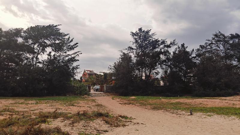 Driftwood Beach Resort - image 10