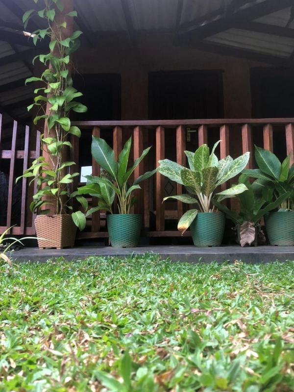 Lion Nature Homestay - image 11