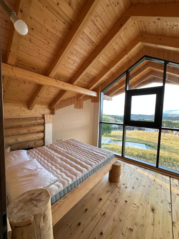 M house Zlatibor - image 9