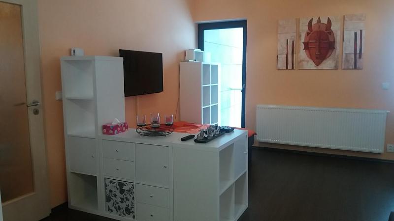 One-Bedroom Apartment with Sofa Bed image 2
