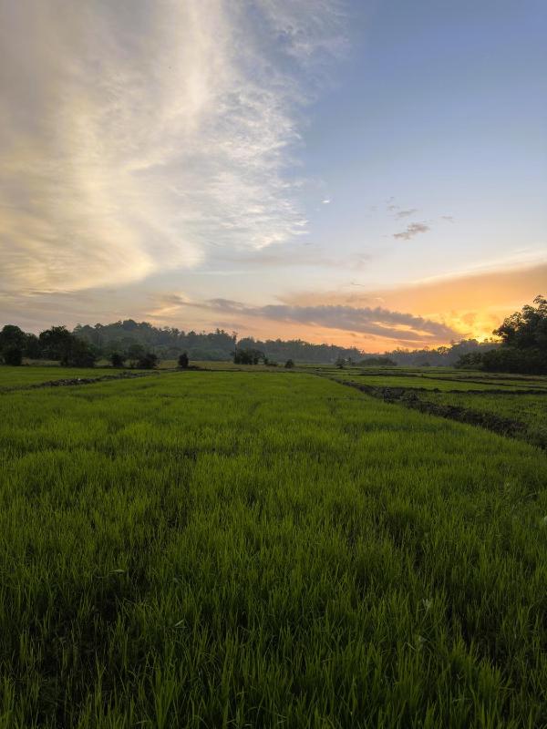 Crisp Air Villa - Ahangama - image 9
