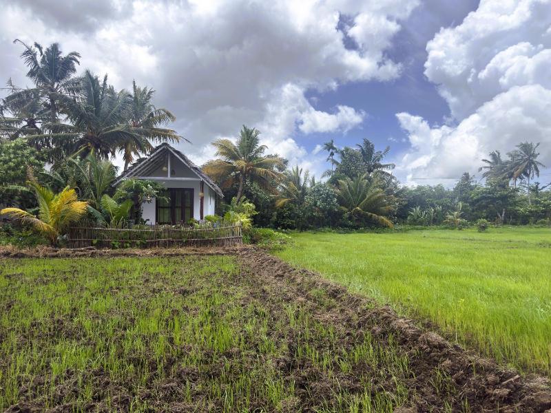 Crisp Air Villa - Ahangama - image 2