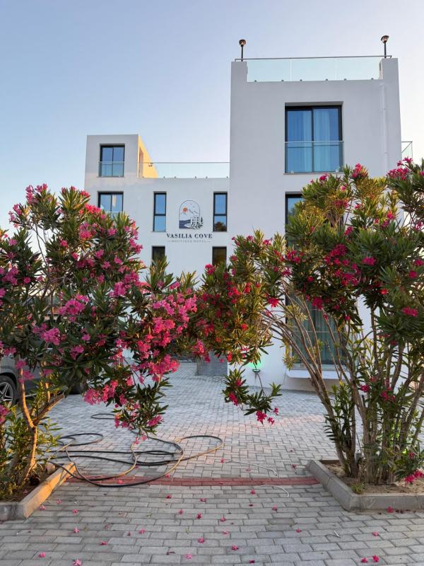 Vasilia Cove Boutique Hotel - image 15