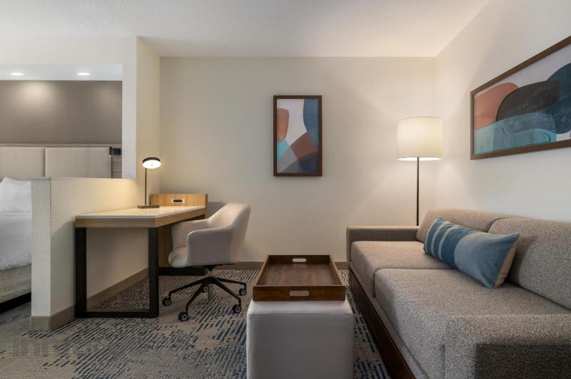 SpringHill Suites by Marriott Tampa Brandon - image 48