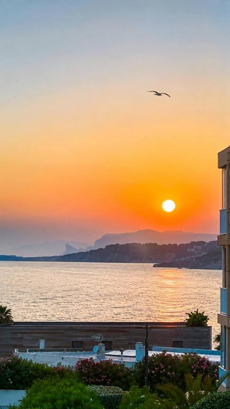 Le Diamant bleu vue mer six fours les plages - image 14