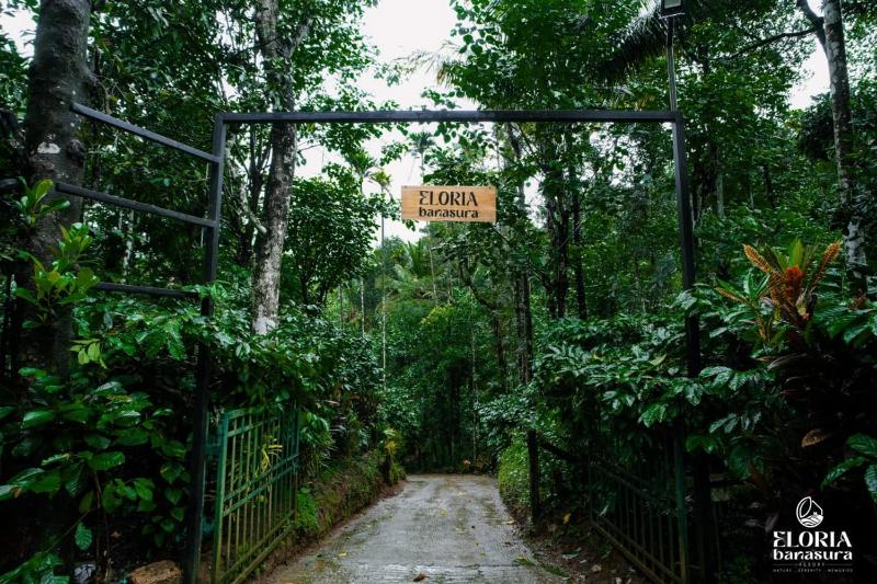 Eloria Banasura Resort - image 9