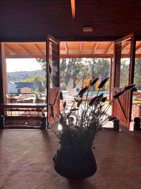 Quinta Ecuador Tandil - image 23