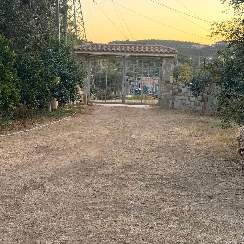Olive Breeze Apartments - image 9