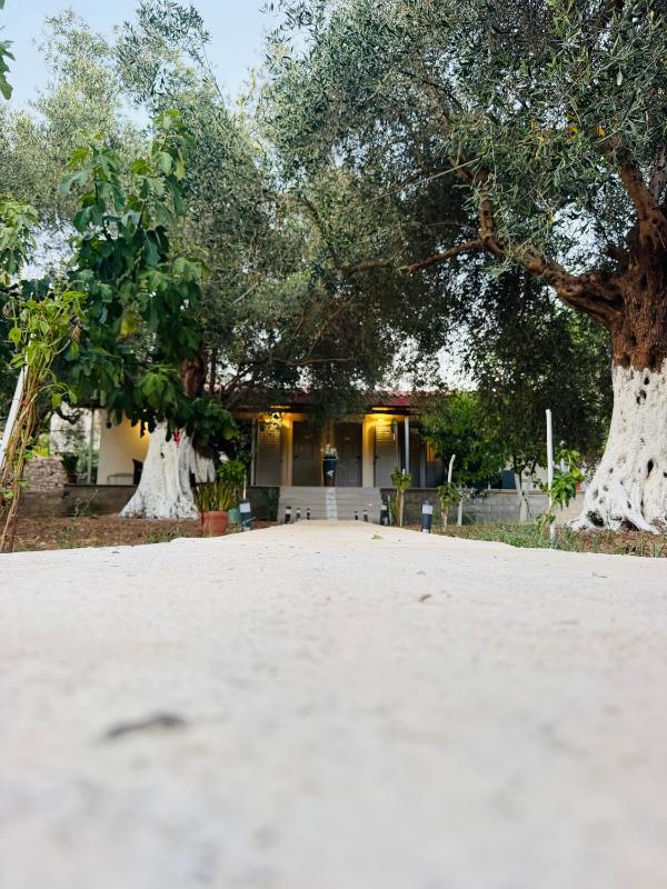 Olive Breeze Apartments - image 8
