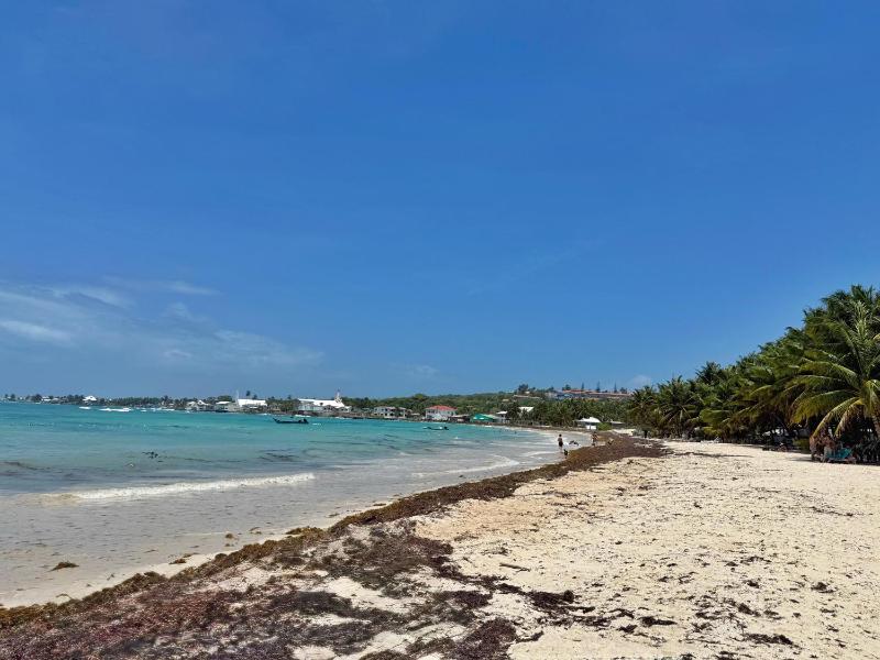 Suite Rocky Cay - Con playa exclusiva - image 9