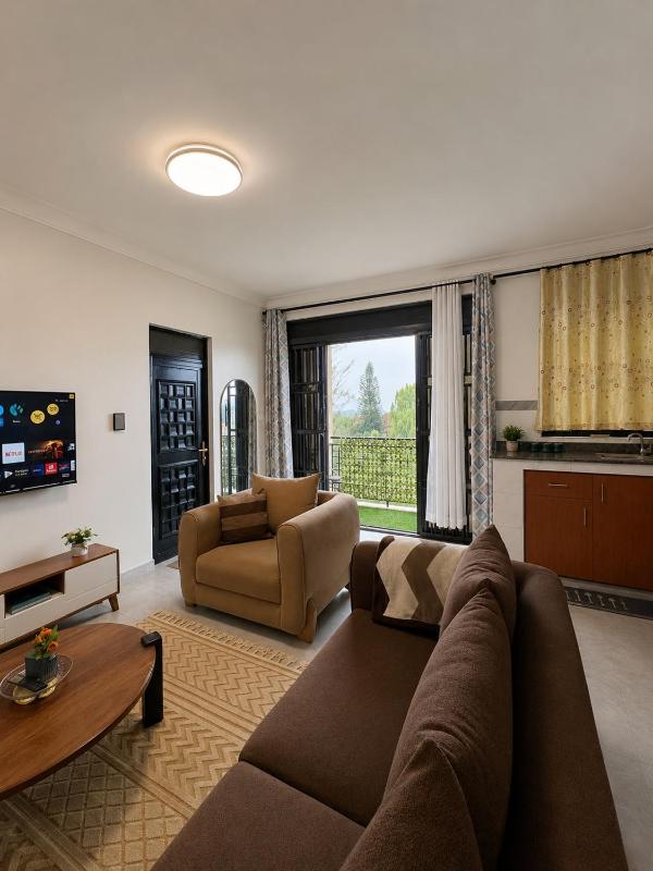 A Grade Apartment in the heart of Kampala - image 2