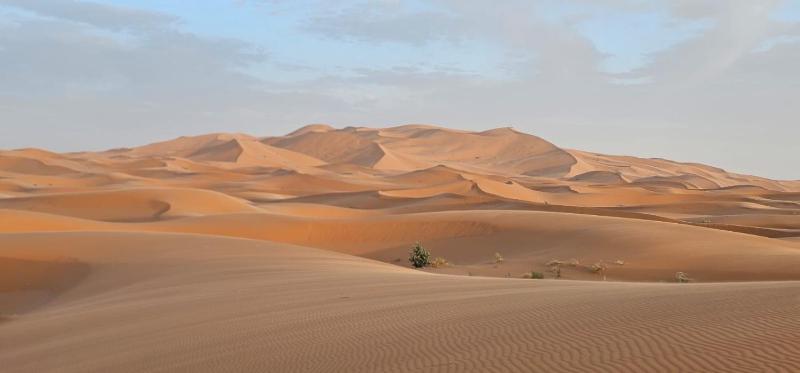 Luxury Desert Queen Camp - image 49