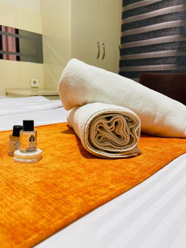 Taksim Premium Gold House Hotel - image 13