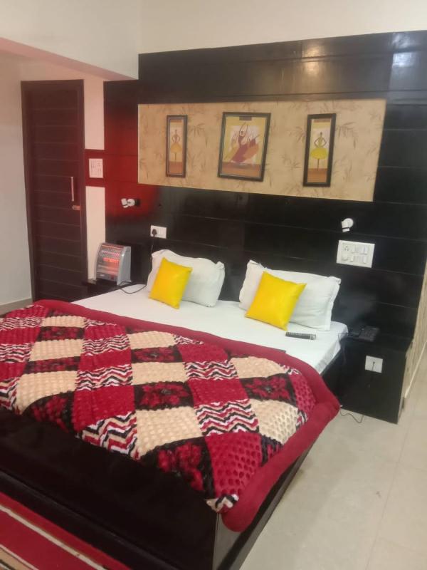 hotel shivay - image 28