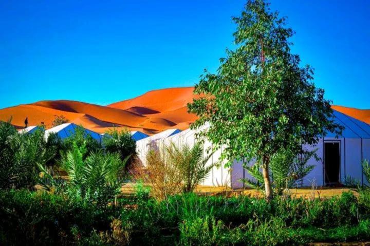 Riad Les Roches Merzouga - image 33
