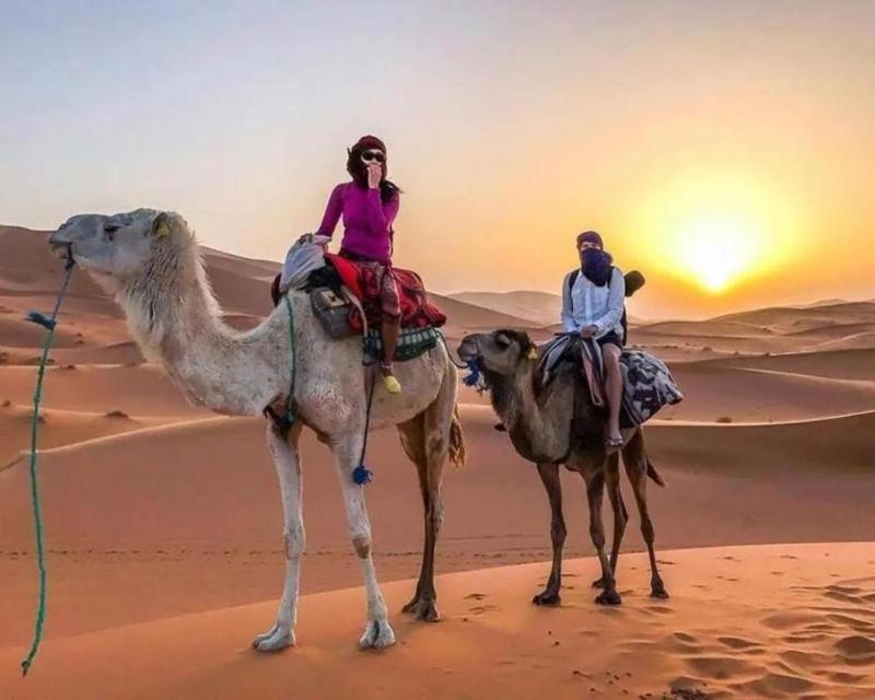 Riad Les Roches Merzouga - image 49