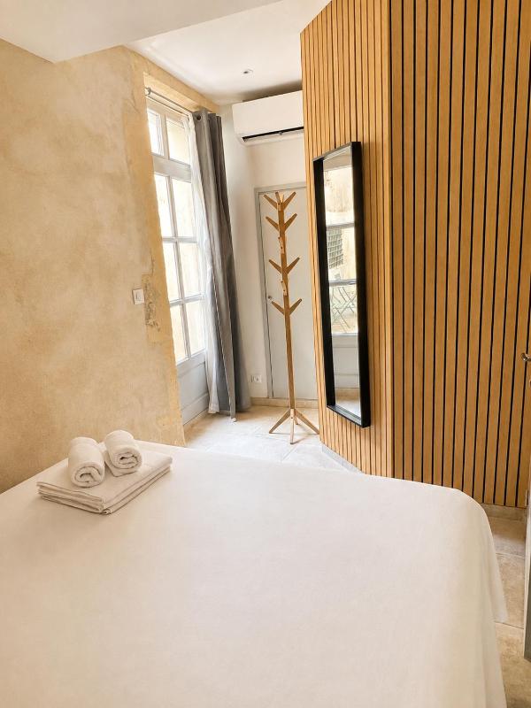 Holiday in Arles: Appartement de l'Amphithéâtre - image 14