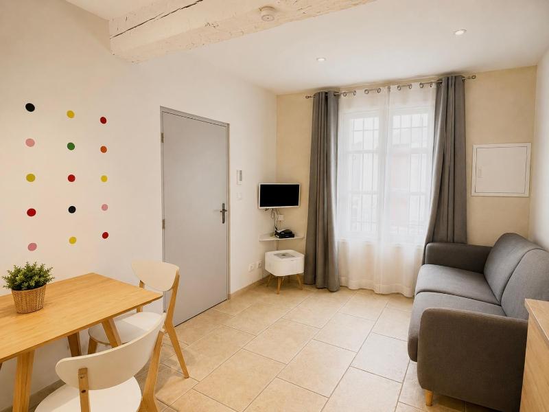 Holiday in Arles: Appartement de l'Amphithéâtre - image 15