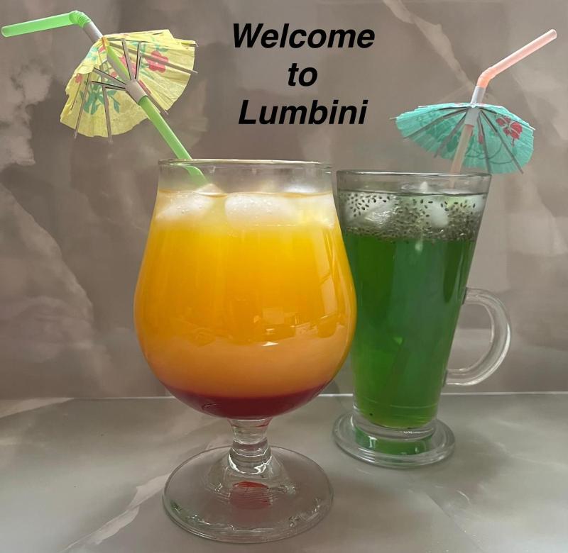 LUMBINI B&B - image 13
