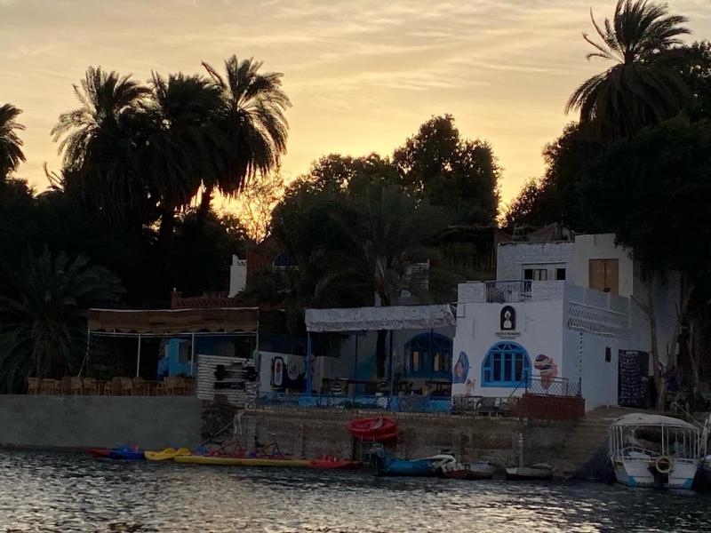 Hooly Nubian - image 5