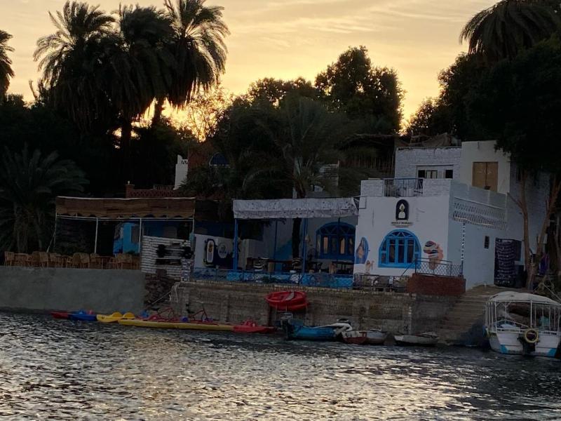 Hooly Nubian - image 4